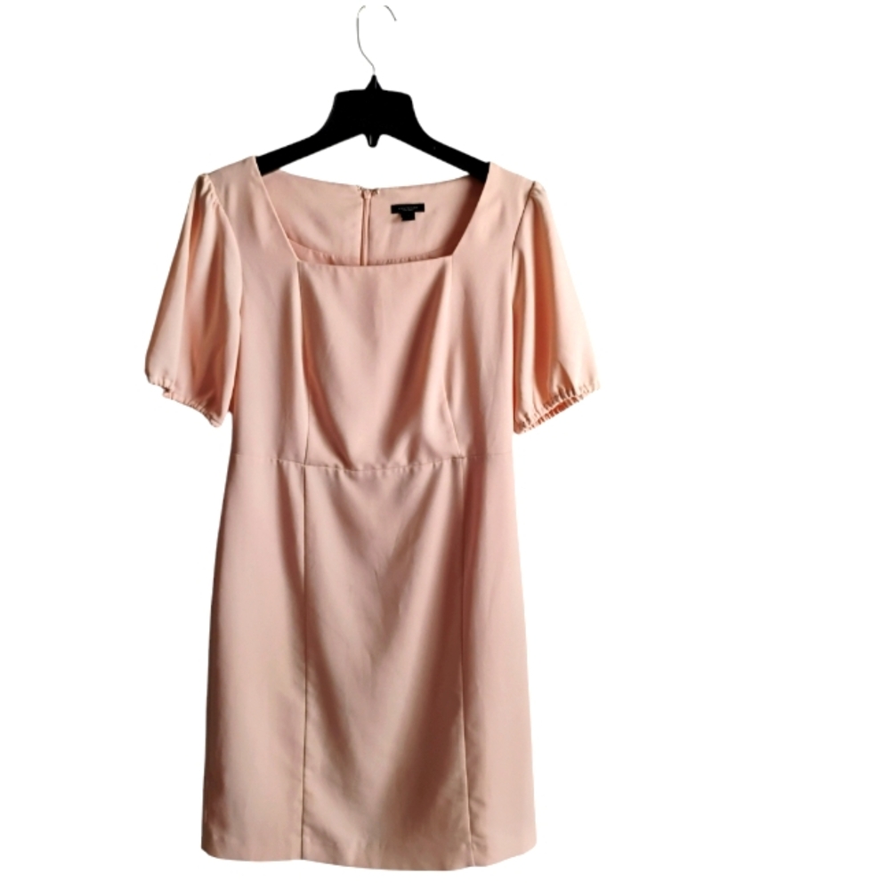 Ann Taylor Elegant Dust Pink Dress